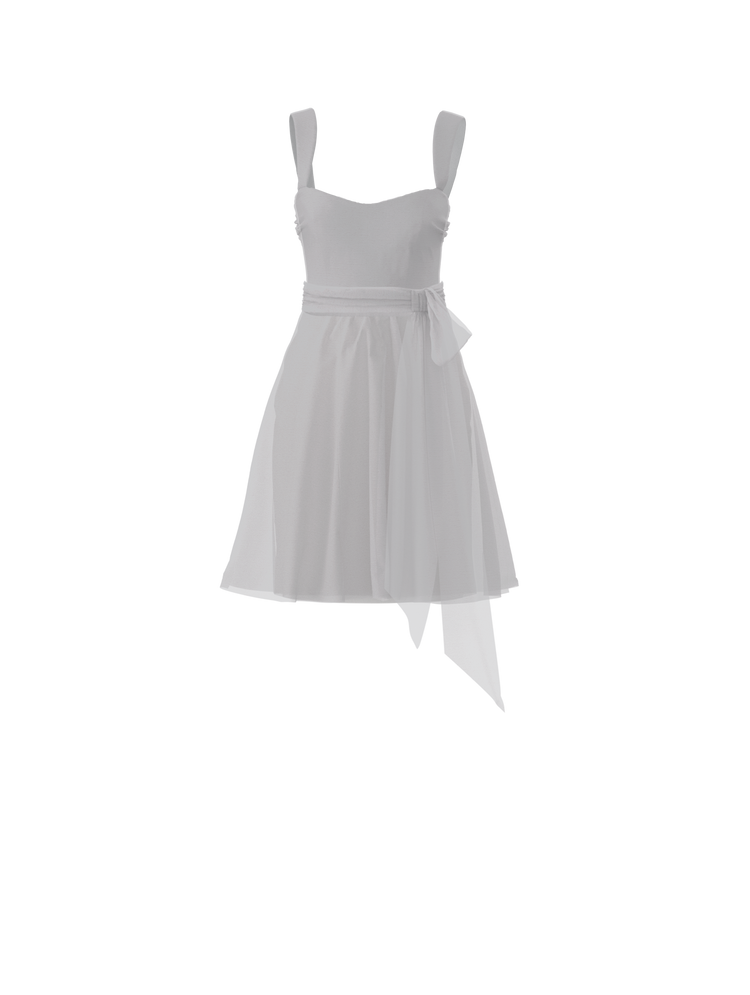 Bodice(Alexis), Skirt(Carla),Belt(Sash), platinum, combo from Collection Amsale